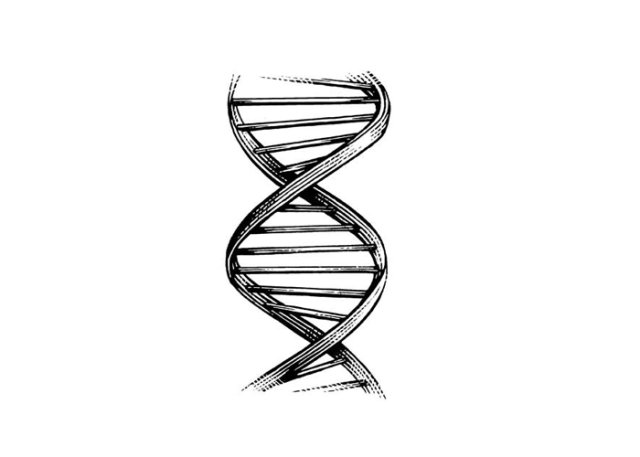 double helix dna 